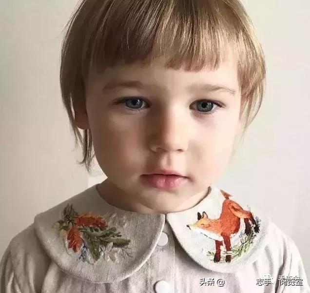 领口刺绣小花朵,刺绣花朵500种图片大全