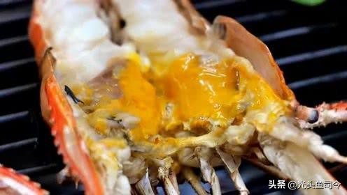 巨型虾入侵,罕见巨虾入侵