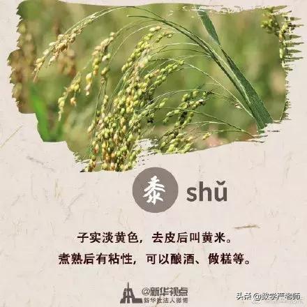 中国农民丰收节秋分节气同一天,农历秋分日为中国农民丰收节