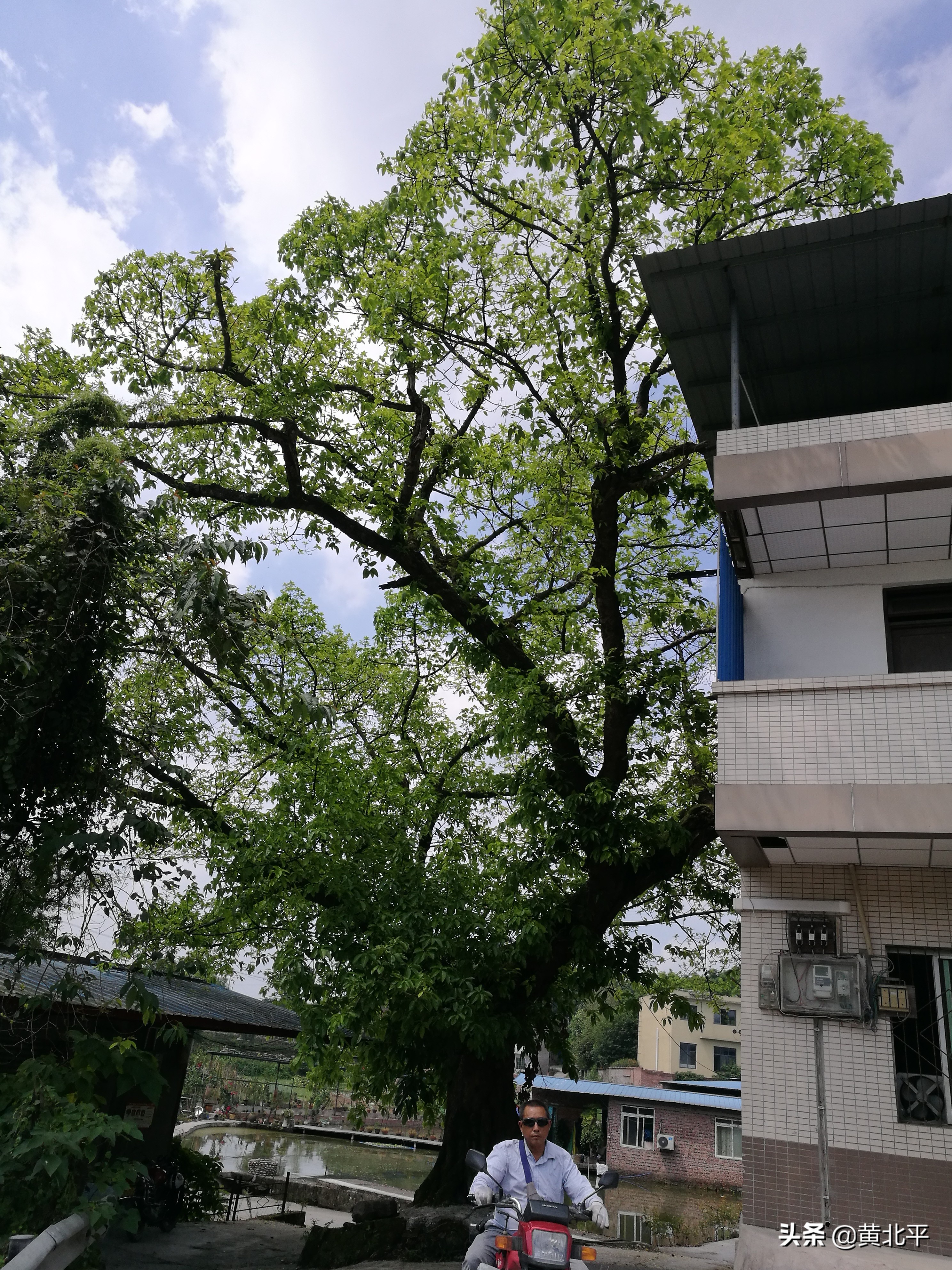 大庆沟,重庆市北碚澄江镇