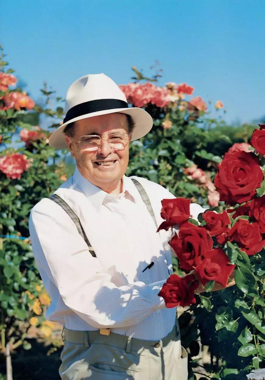 从默默无闻到叱咤风云,从毫不起眼逆袭到第一名