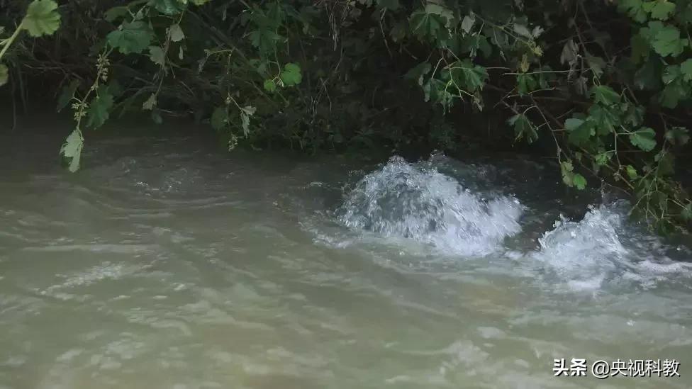 鱼泉洞穴,会冒鱼的山洞是什么