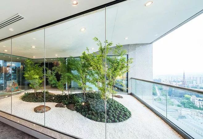 室内做的景观,室内景观打造过程