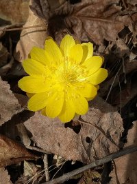 每个人记忆中的姥姥,你们记忆中的姥姥是什么样的