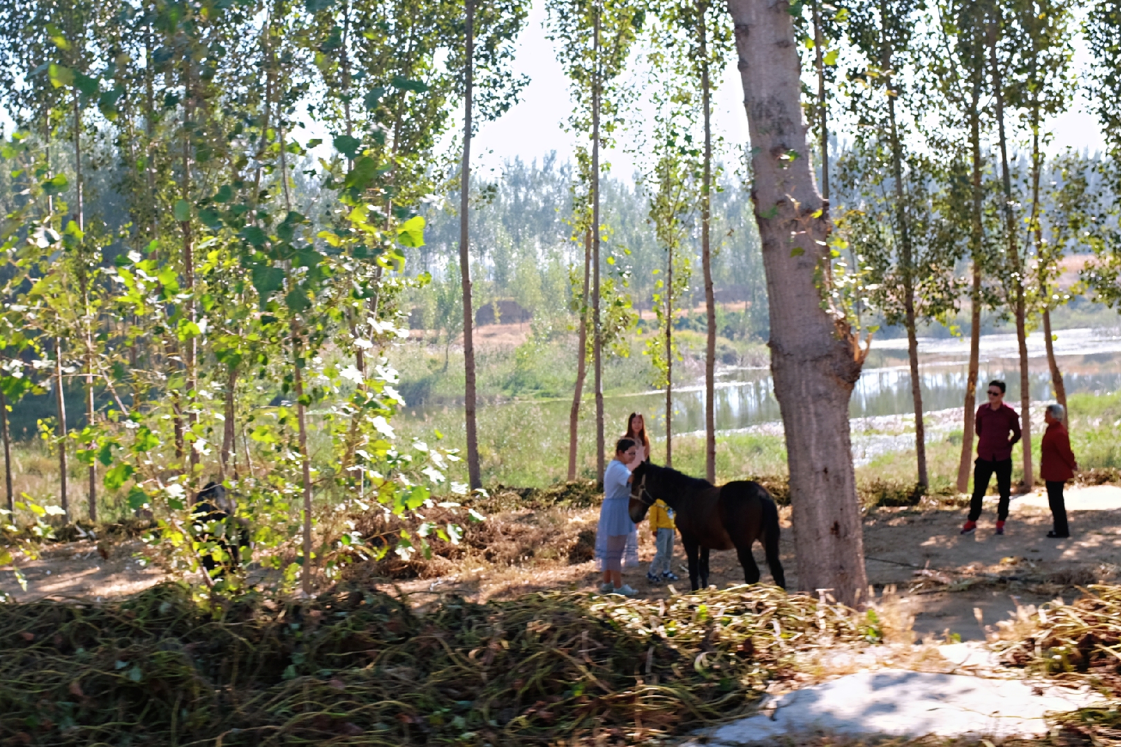 玉田净觉寺景点,唐山净觉寺三大奇观