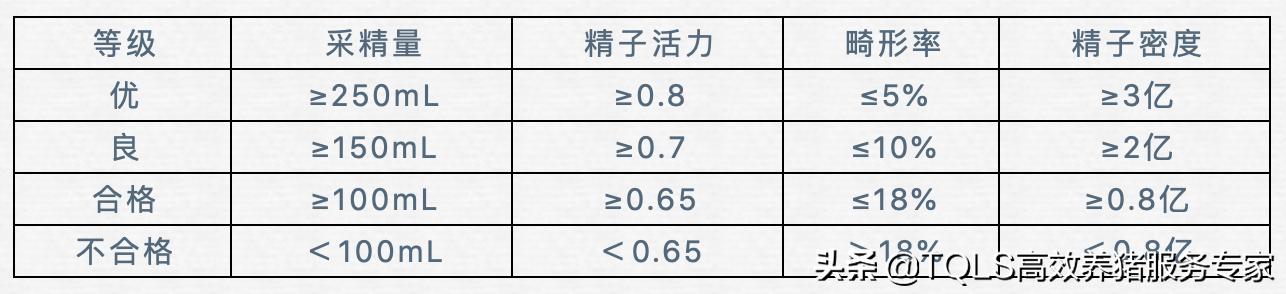 公猪精子在哪里化验呢,公猪精子活力的检测方法
