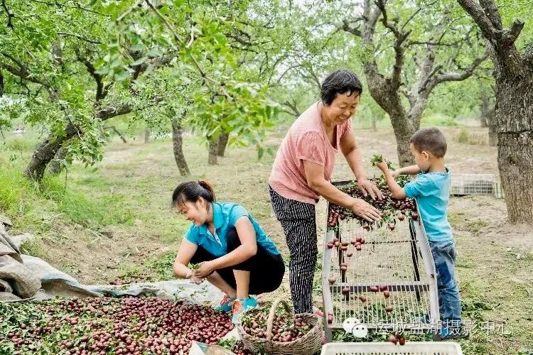 鍚庣ǚ鏁呴噷榄呭姏绋峰北,灞辫タ绋峰北鍚庣ǚ鏁呴噷