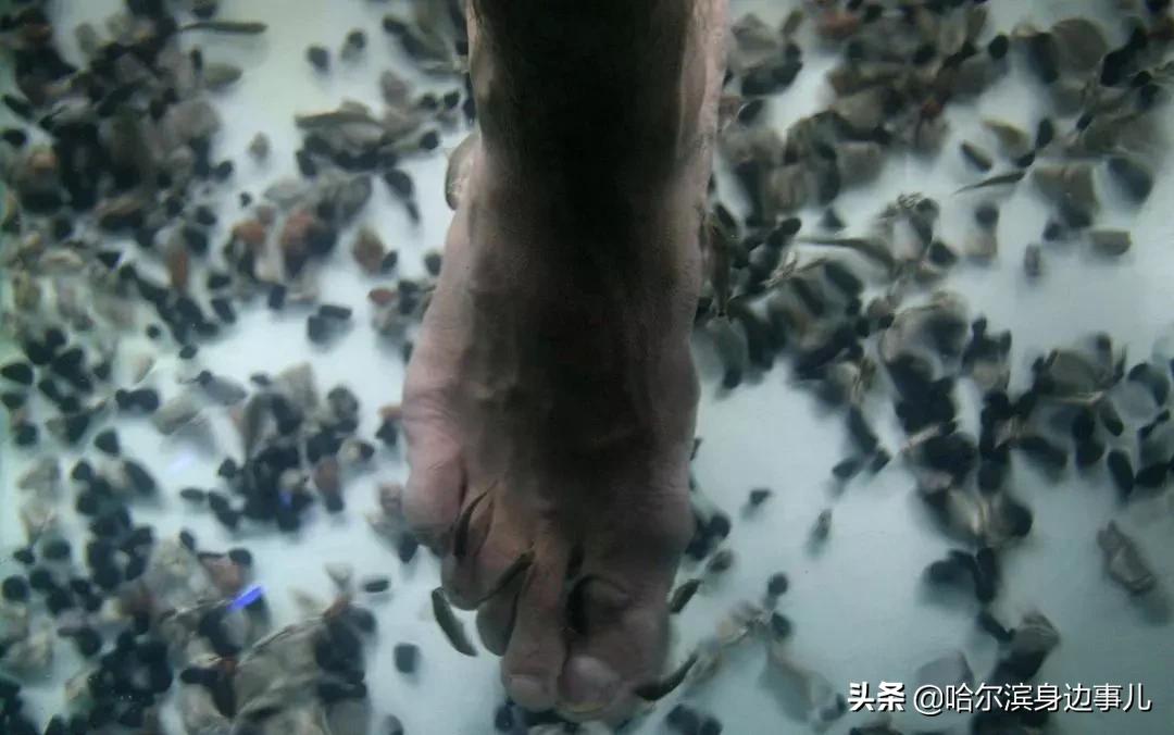 女生说袜子和内裤不能一起洗,夫妻袜子内裤一起洗行吗