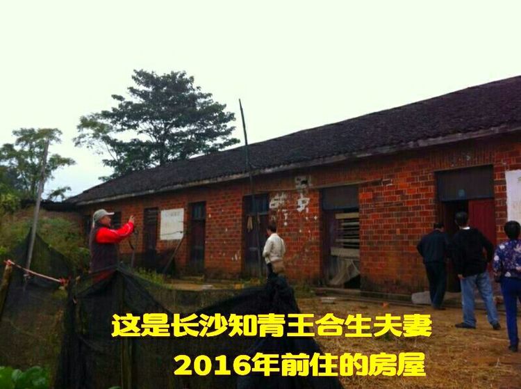 知青情结图片素材,60年代的知青情结