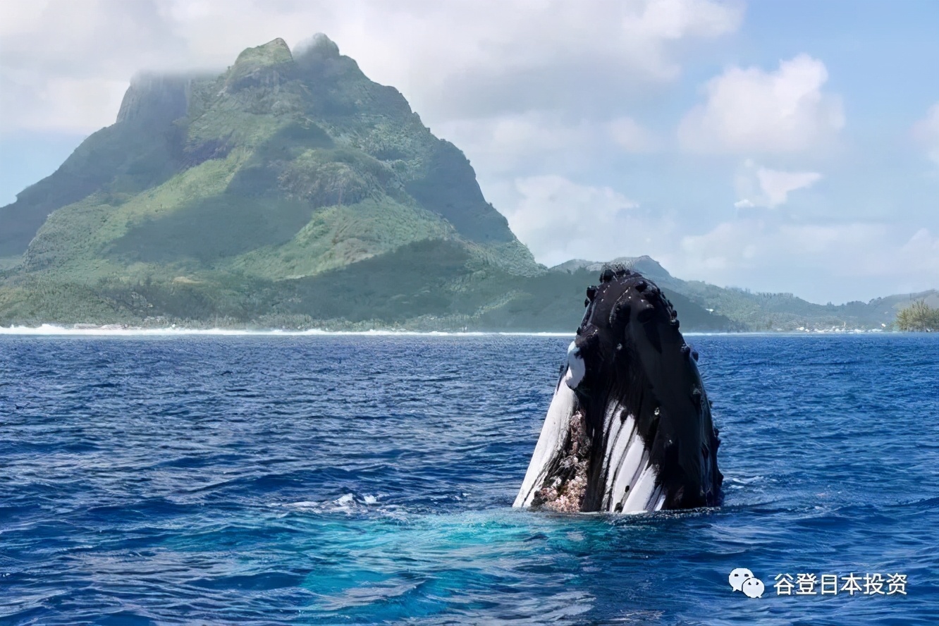 等疫情过后去日本旅行,疫情结束我们一起去旅游吧