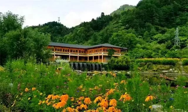 西北农村民宿,西北风格民宿