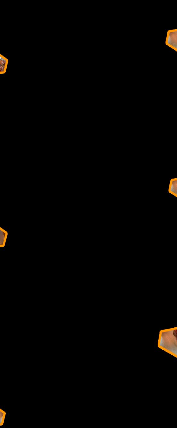 南阳吃烤全羊的地方,河南南阳方城流动烤全羊