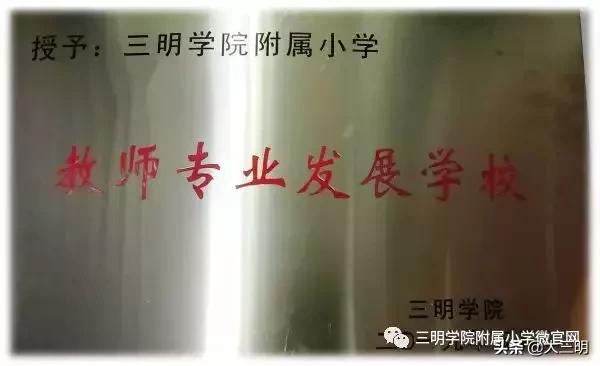 大事记丨2019,附小向您报告