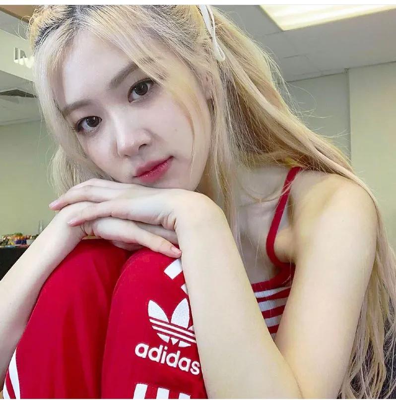 rose澳洲野玫瑰红裙子 (rose澳洲野玫瑰)