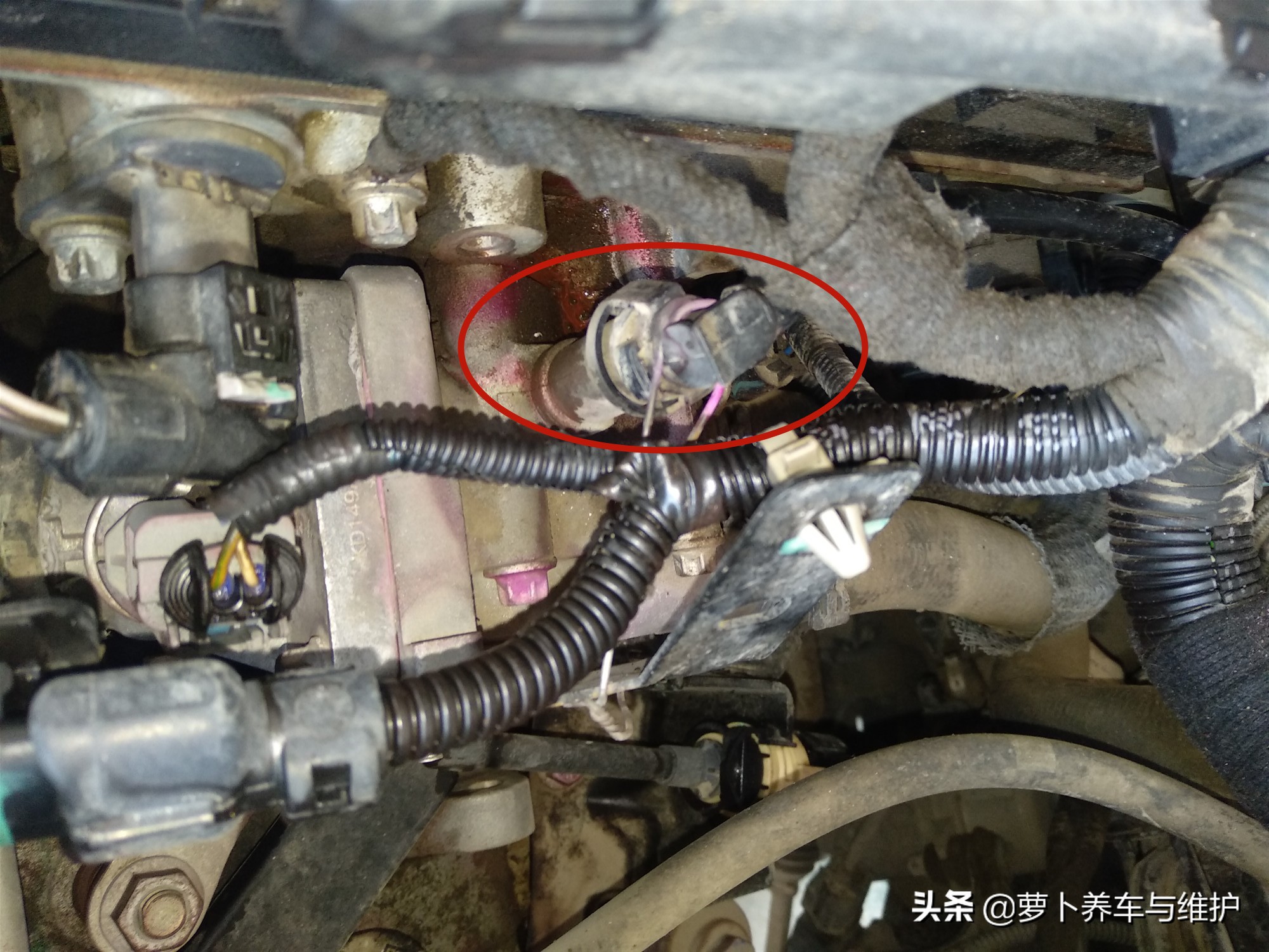 开别克英朗的车主,开着别克英朗在路上视频