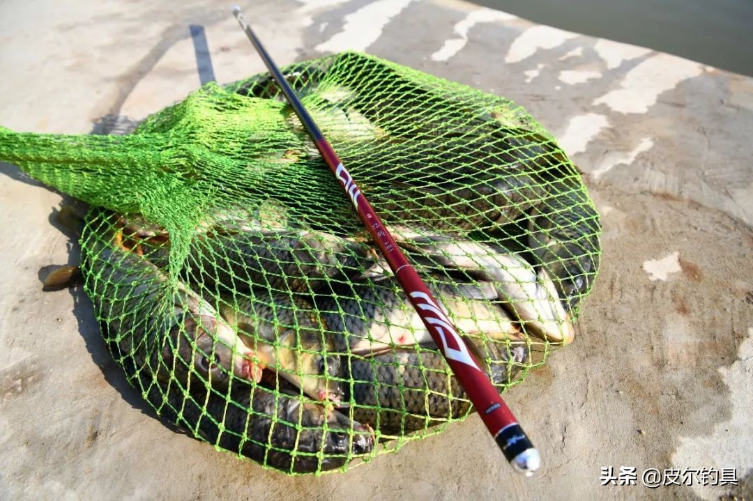 红狼怒戟n1黑坑版竿稍尺寸,红狼怒戟n1典藏版7.2实战效果