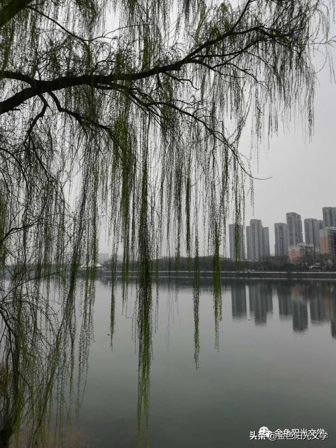 春天来了、春天的油菜花、我心中的春天、春诗