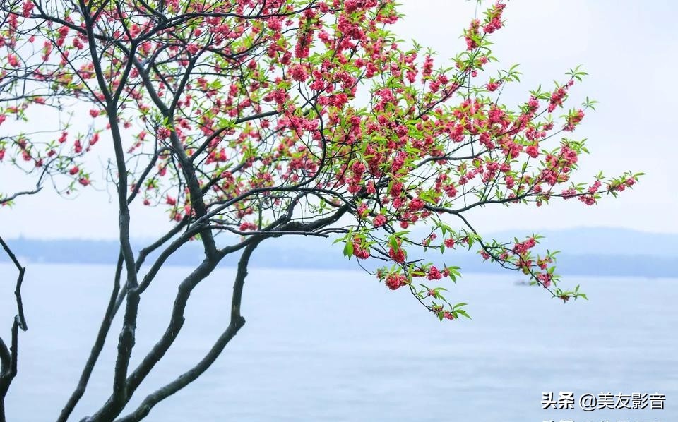 成语的误用类型有哪些,人民日报整理易错的四字成语