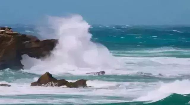 人类面临的生态困境包括哪,生态农业的可能性以及前景