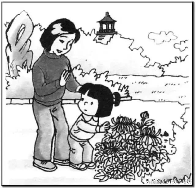 寒假专项训练一二三年级看图写话,开学整理书包看图写话