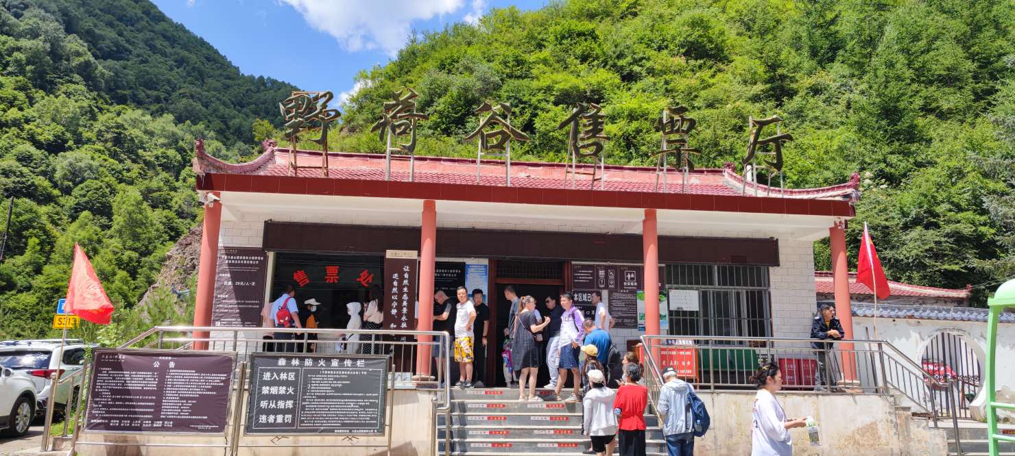 记忆里的凉意,银川是个冬暖夏凉的地方