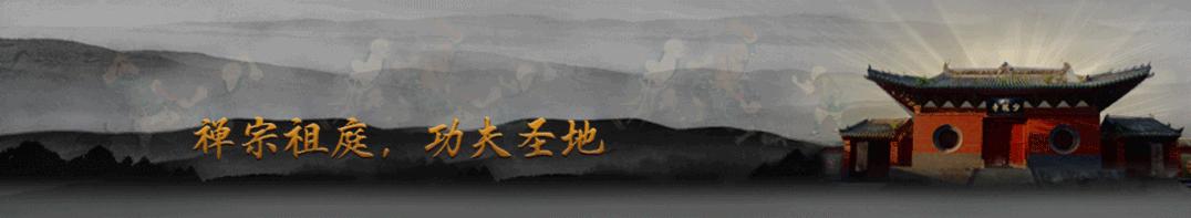 少林武术表演纯音乐,少林功夫表演震撼全场