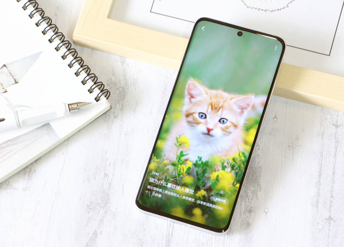 魅族18s深度评测双11,魅族18深度评测钟文泽