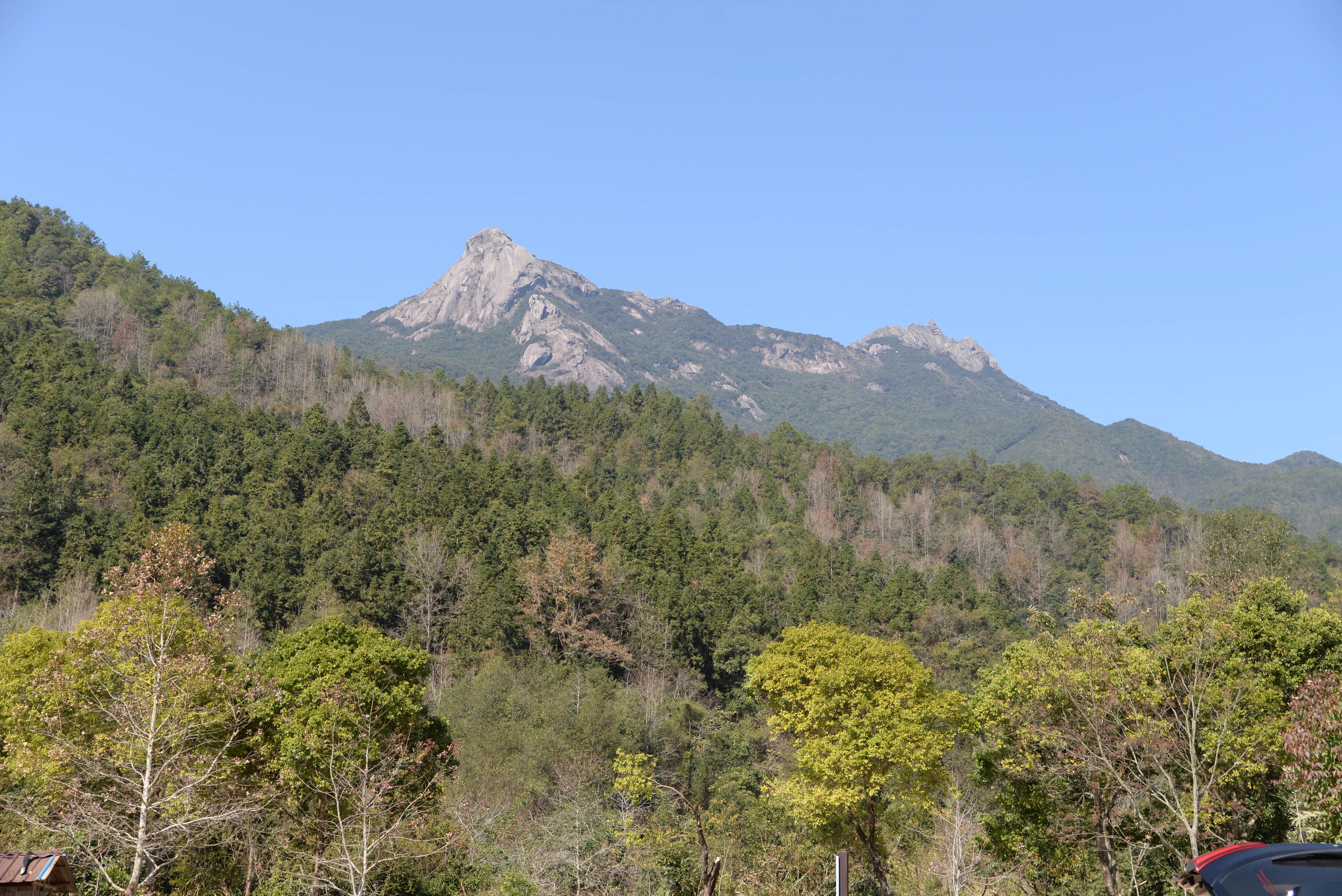 新丰云髻山,新丰云髻山枫叶红了吗