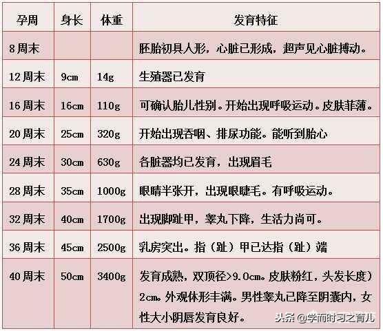 怀孕1到10个月需要注意什么,怀孕期间1-10个月的注意事项
