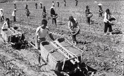 妻女被杀兔子牵出了真相,妻女被杀兔子成破案关键