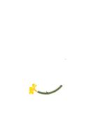 科学配方助儿童成长牛奶有dha,喝牛奶帮助孩子长高