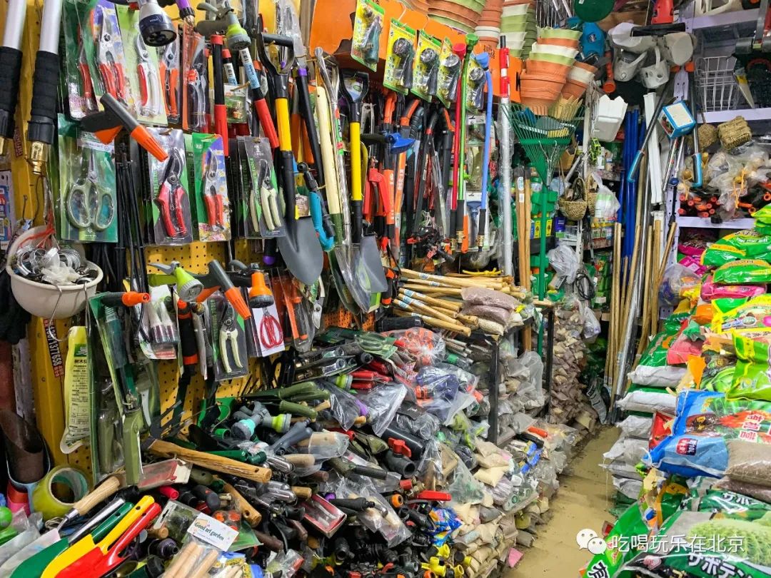 北京花市攻略大全,北京最美赏花景点