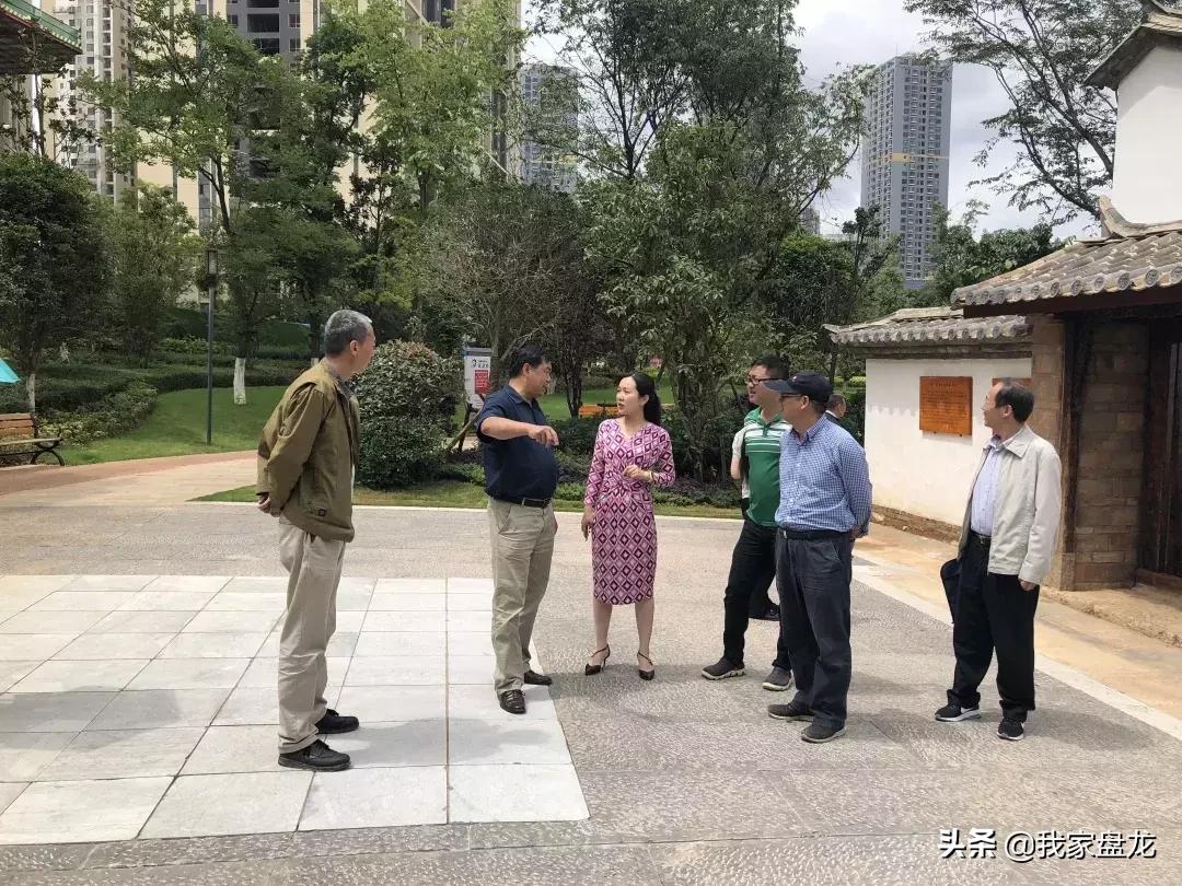 盘龙宝藏2018年度“账单”出炉:*物文**保护,我们一直在路上