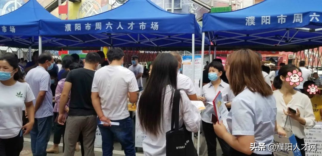 稳就业保就业网络直播招聘会,濮阳人才网最新信息