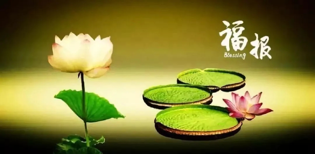 悟道和修道证道,如何见道修道和证道