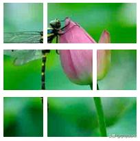 ppt里柱状图如何用图片填充,ppt如何将图片填充整个页面快捷键