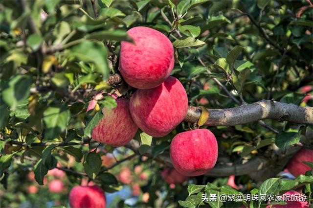 怀柔六十七号民族餐厅,怀柔白河湾农家院垂钓