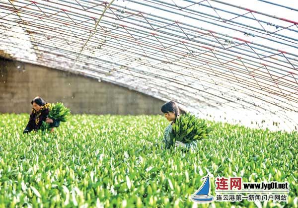 我的家乡东海图片,东海县是中国水晶之都