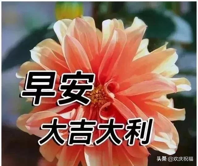 时光太短，多少守望物是人非；世态炎凉，多少缘分人走茶凉，早安