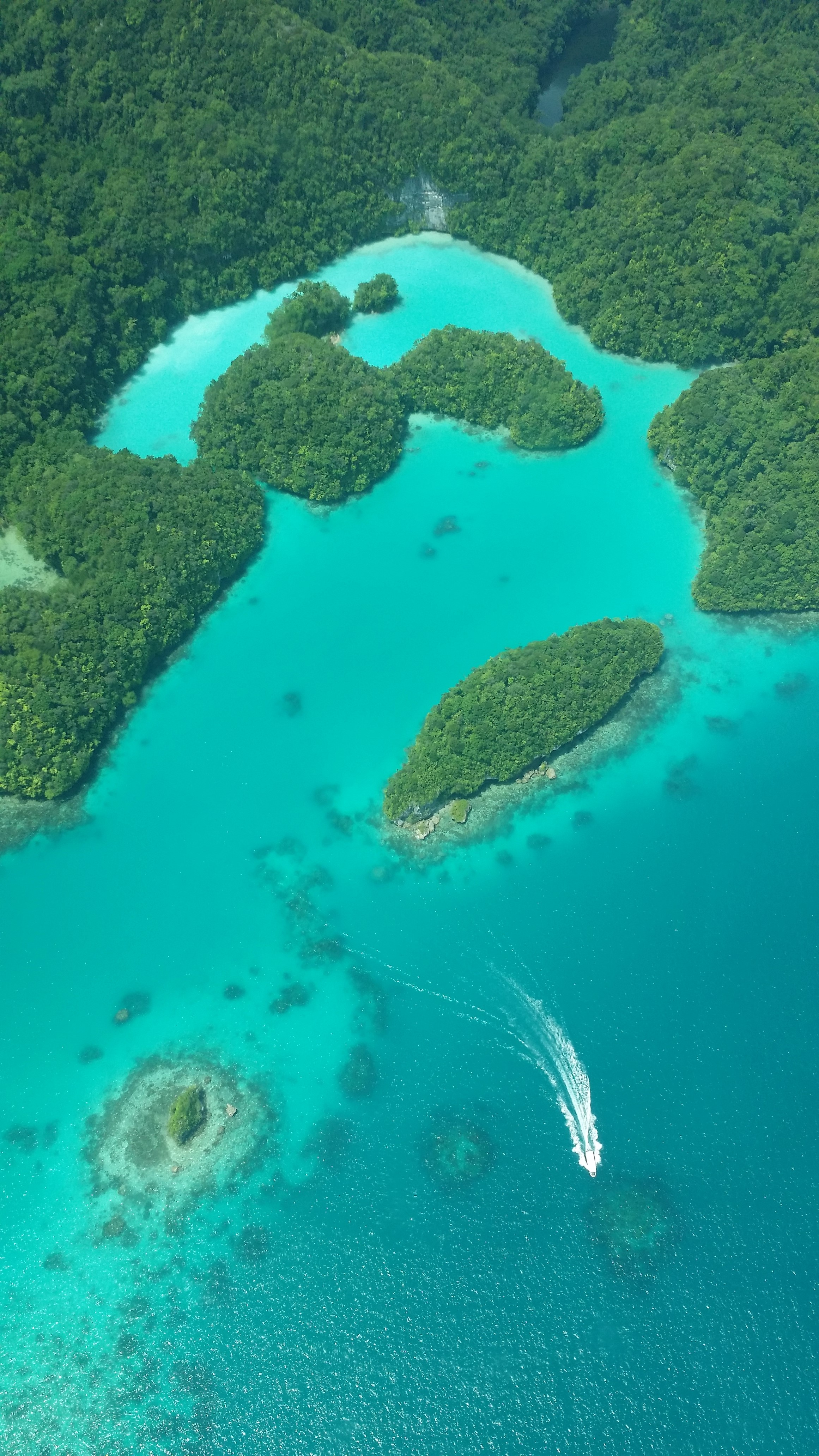 帕劳旅游十大攻略,帕劳上帝的水族箱