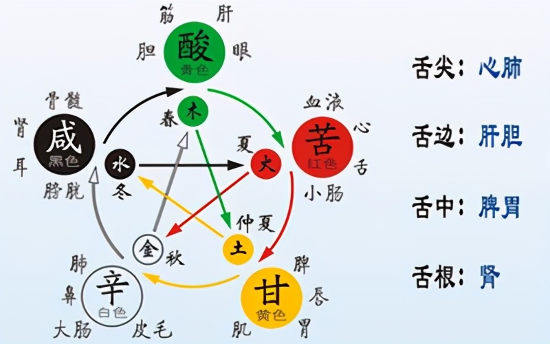 小柴胡逍遥丸能治甲状腺结节吗,柴胡疏肝散和逍遥丸治甲状腺结节