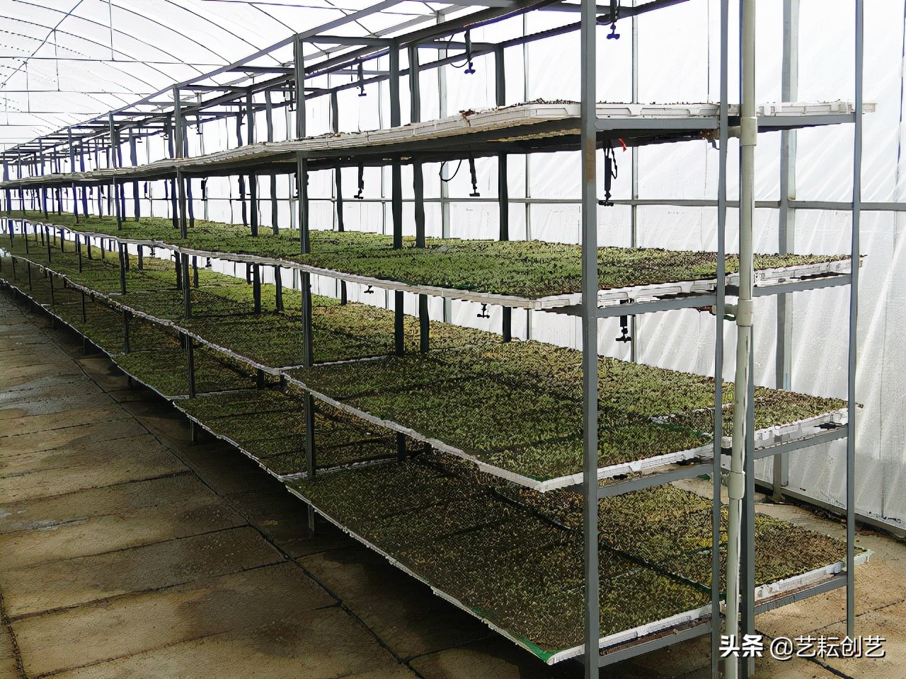 湖北标志性农产品,全国农产品地理标志目录四川