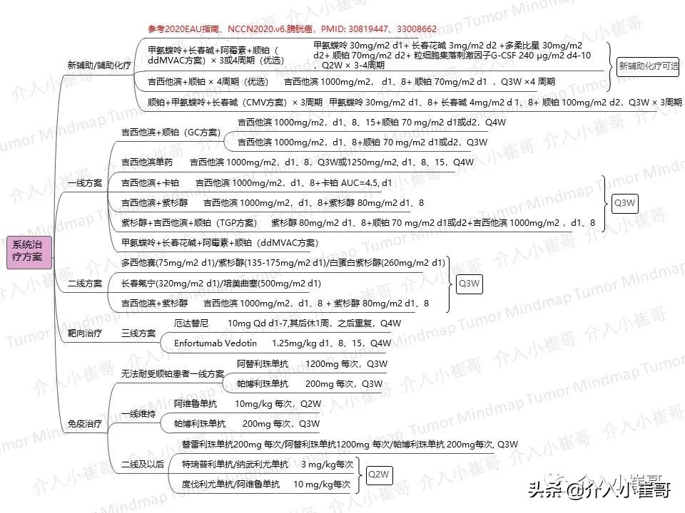 肿瘤护理思维导图,肿瘤免疫思维导图