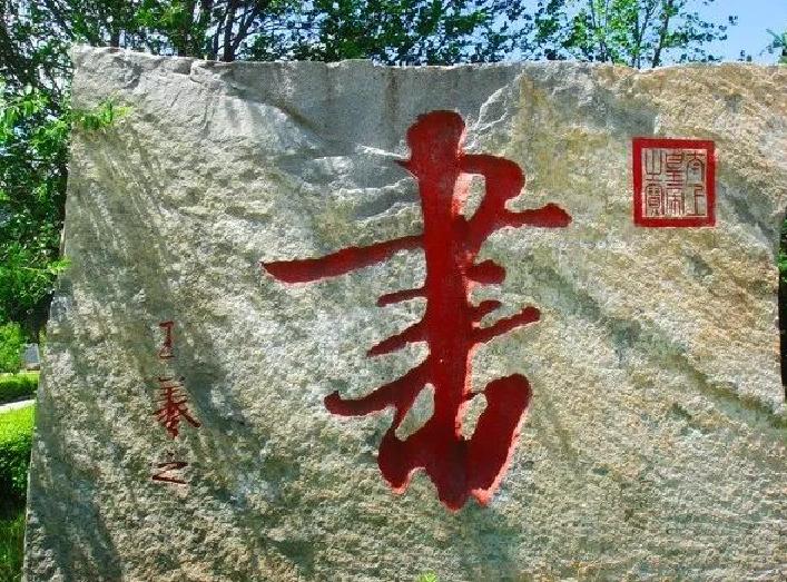 书法审美要点包括,书法审美教学