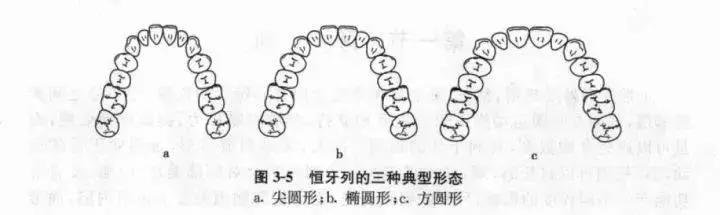网红爆款美牙仪新科技,网红用的美牙仪有用吗