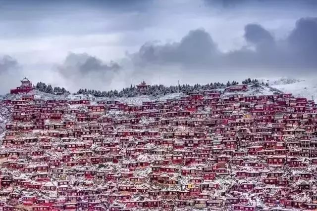 色达下雪了红白交织,色达下雪了图片大全