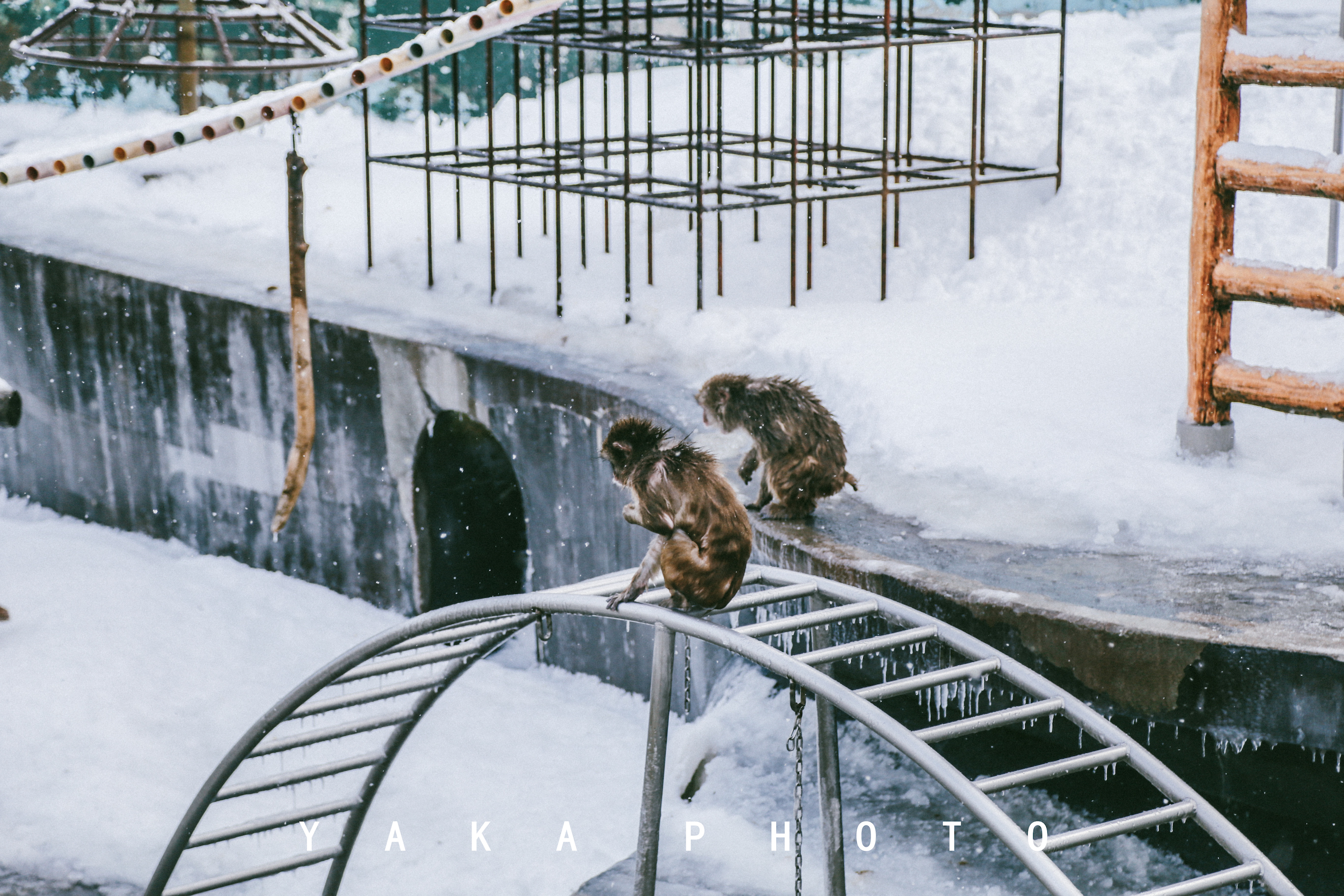 北海道函馆攻略一日游,12月北海道函馆有什么推荐