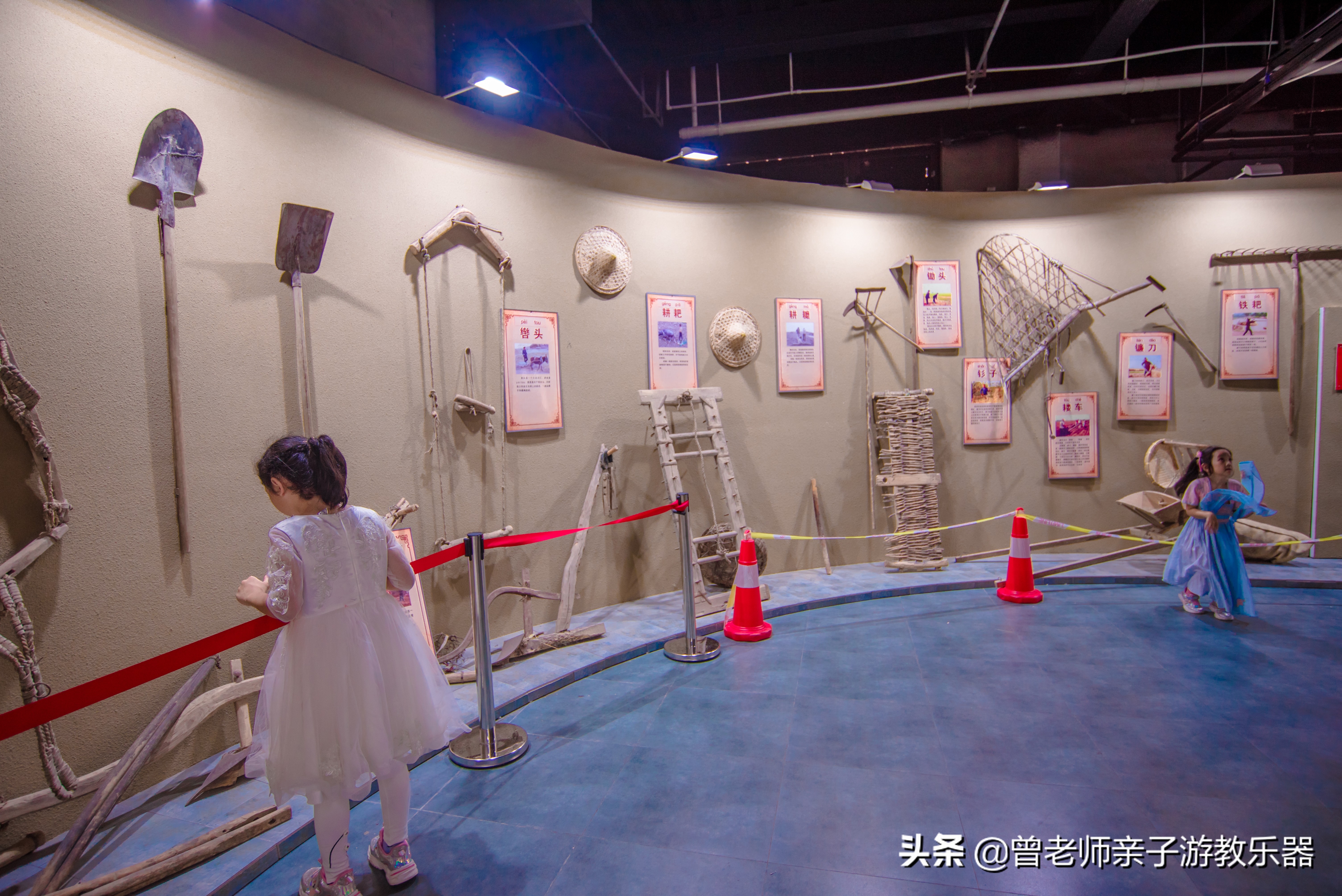 西安菊花节9.9元门票,爱菊菊花节怎么去