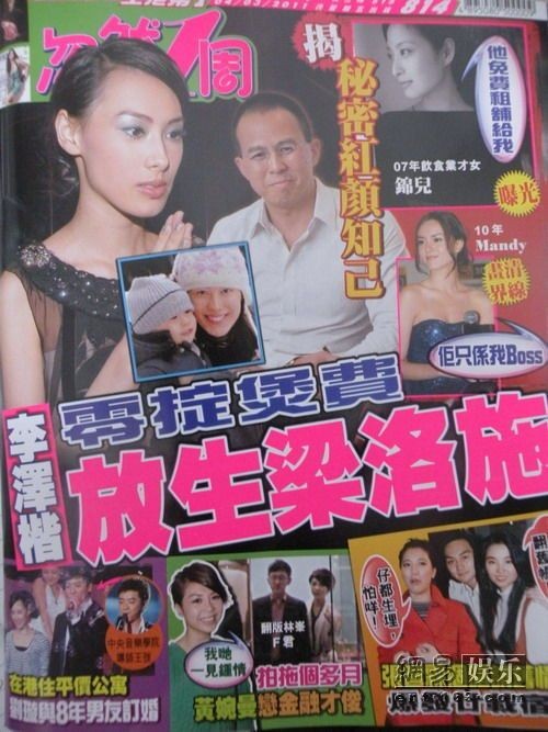 揭秘梁洛施与李泽楷的分手原因 (梁洛施是怎么拿下李泽楷的)