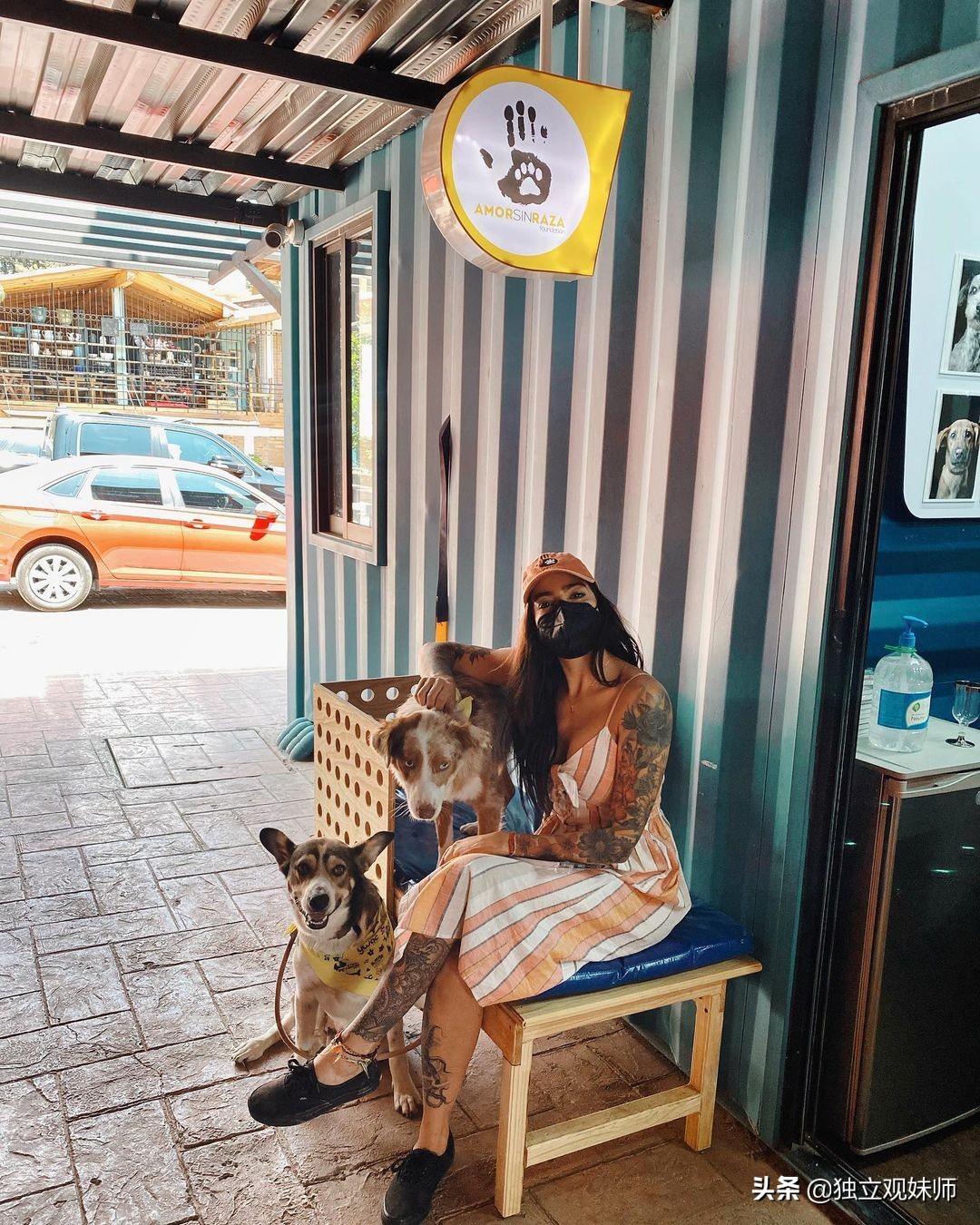 环球美女阿尔及利亚,环球美女巴基斯坦